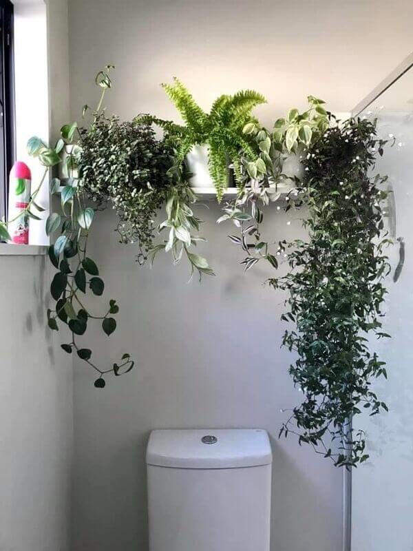 over-the-toilet decor plants on a shelf