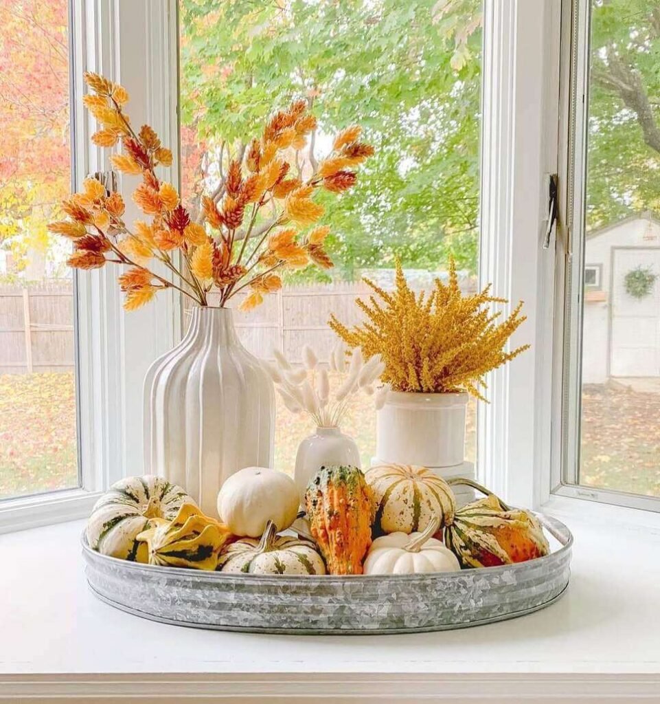 Fall centerpiece ideas with a galvanized tray filled with mixed gourds and pumpkins, styled alongside white vases with orange and yellow faux grain stems on a windowsill.

