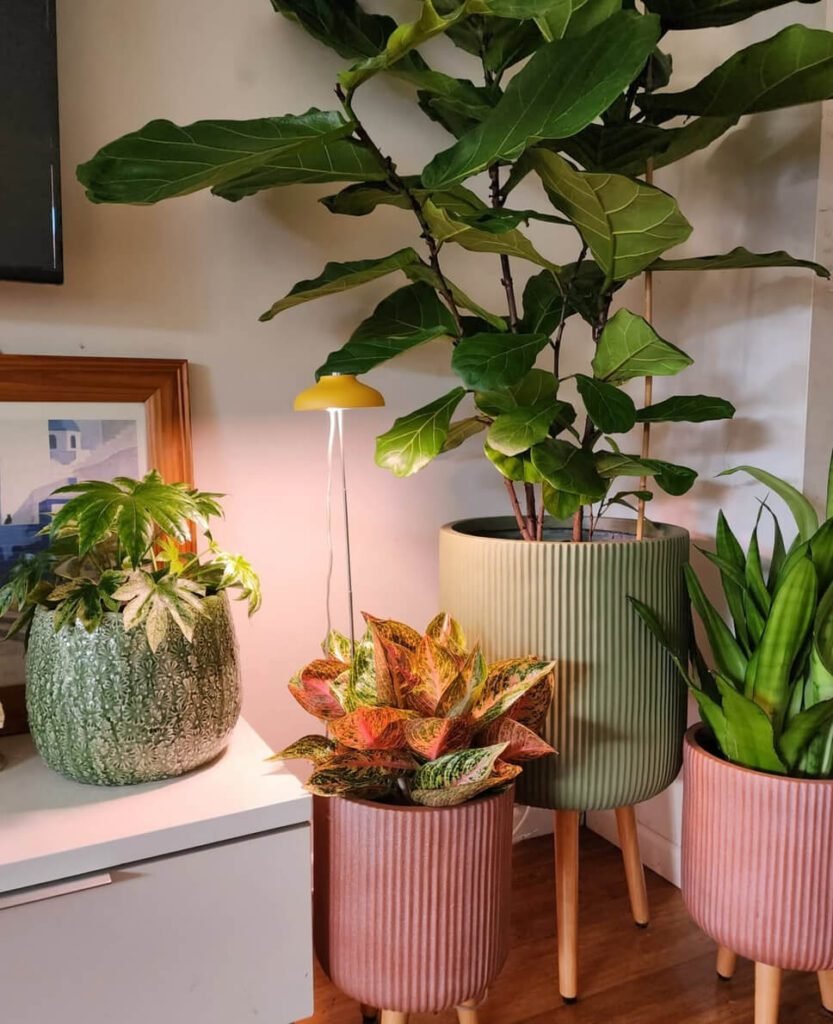 2026 home decor trends 